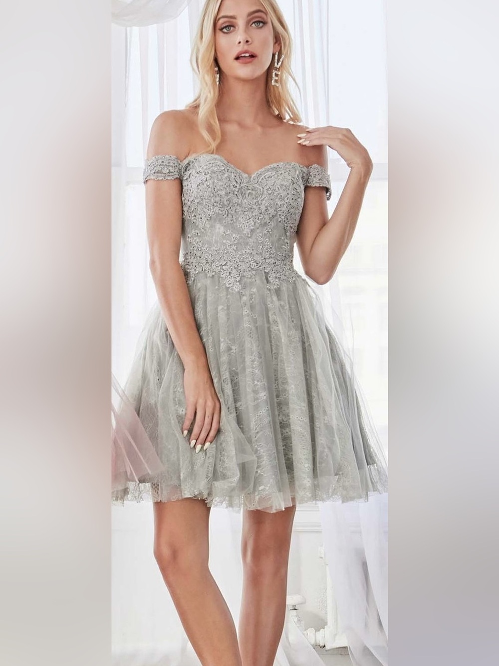 Women’s 2XL Cinderella Divine Silver Lace Tulle A-line Dress Plus Size